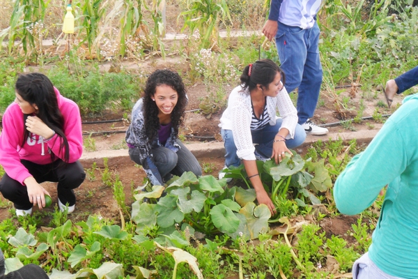 EPD-ISAAC NEWTON SECUNDARIA-TRABAJO EN HUERTA-1